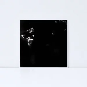 Velvet Echoes – Nocturnal Waves